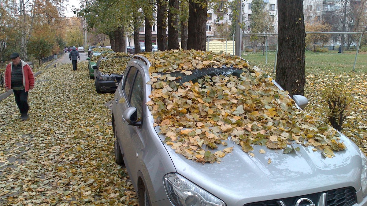 undefined undefined - 14 от автора zodchi11 в Бортжурнале