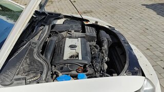 Skoda Octavia - 7 от автора Автоподбор Семен Диденко| SamAvtoMakler в Бортжурнале