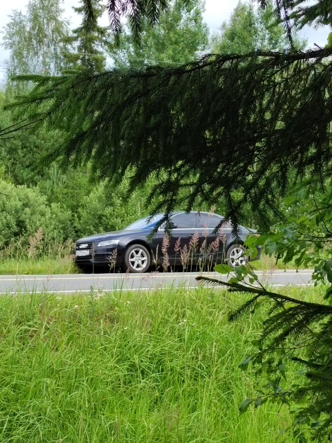 Audi A4 - 1 от автора Смирнов Александр в Бортжурнале