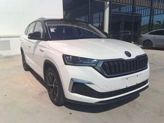 Skoda Kamiq - 3 от автора RTS_AUTO в Бортжурнале