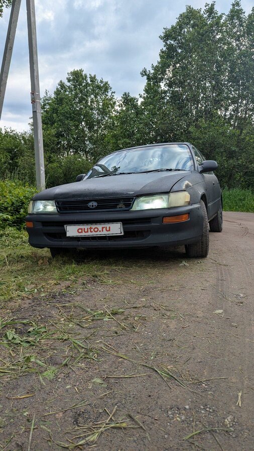 Toyota Corolla - 1 от автора Александр в Бортжурнале