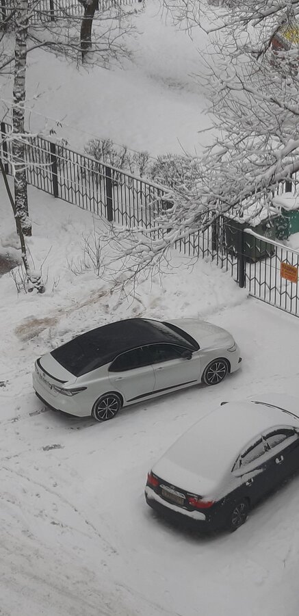 Toyota Camry - 1 от автора Александр в Бортжурнале