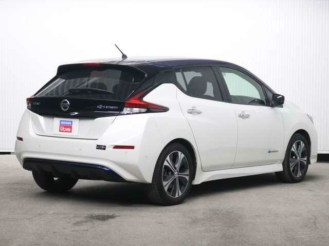 Nissan Leaf - 2 от автора Коричневый минивэн в Бортжурнале