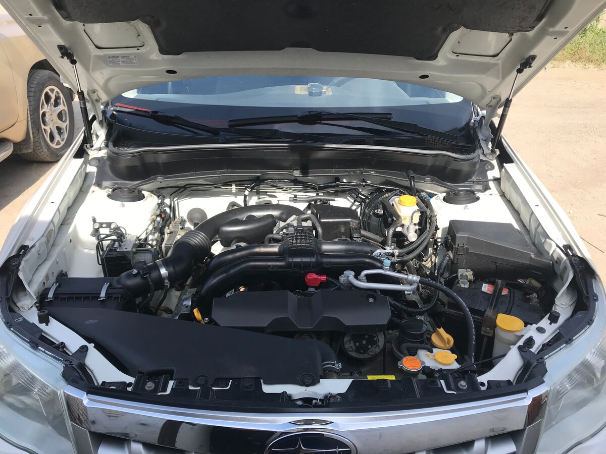 Subaru Forester - 5 от автора Катя Е. в Бортжурнале