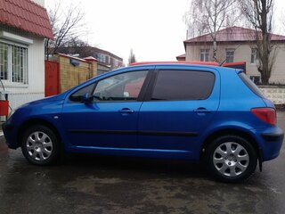 Peugeot 307 - 10 от автора валентин ченцов в Бортжурнале