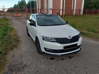 Skoda Rapid - 1 от автора Игорь в Бортжурнале