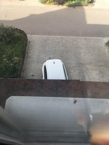 BMW 1 серии - 1 от автора Алена В. в Бортжурнале