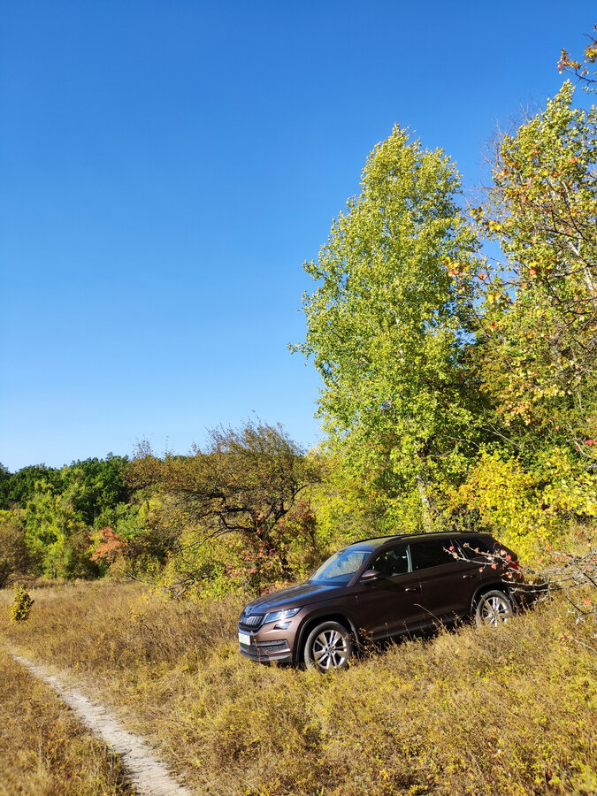 Skoda Kodiaq - 3 от автора Алексей в Бортжурнале