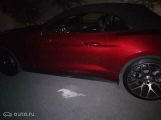 Ford Mustang - 4 от автора Звенигородский Руслан в Бортжурнале