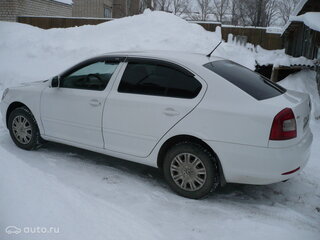 Skoda Octavia - 6 от автора Александр в Бортжурнале