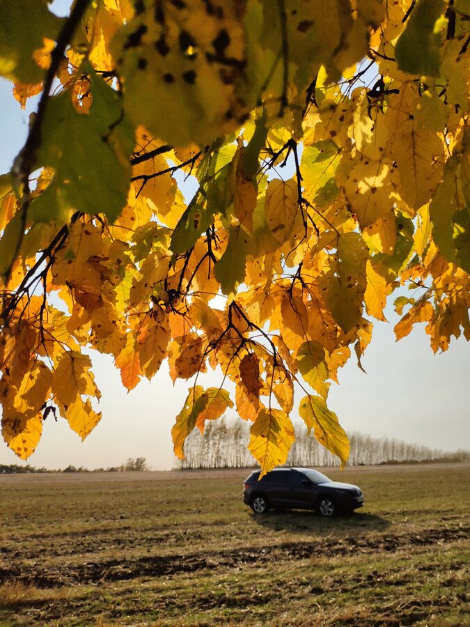 Skoda Kodiaq - 4 от автора Алексей в Бортжурнале