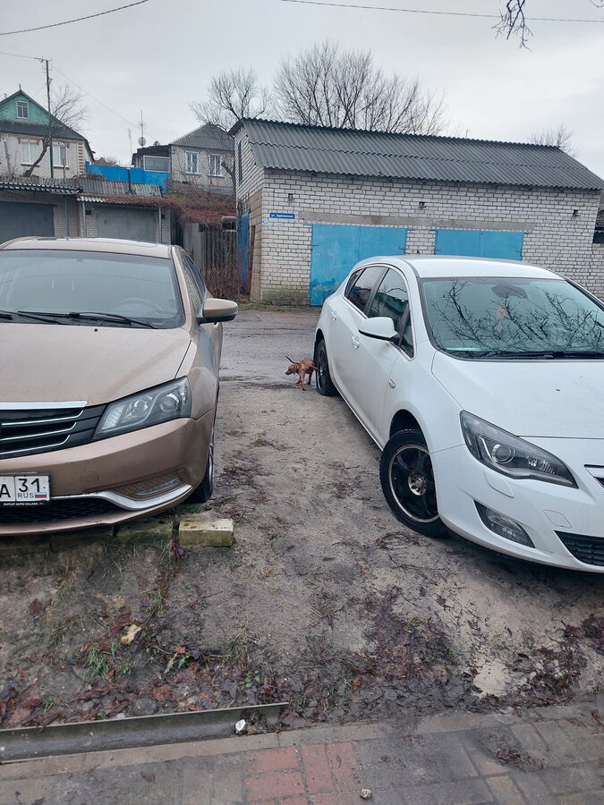 Geely Emgrand 7 - 1 от автора Иван Петров в Бортжурнале