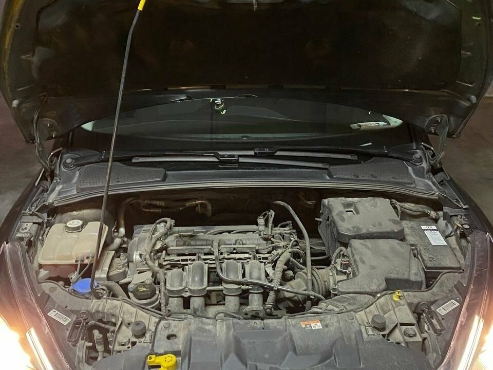 Ford Focus - 35 от автора Коричневый грузовик в Бортжурнале