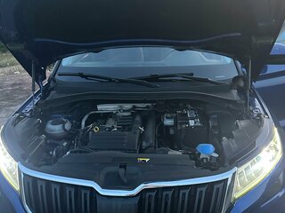 Skoda Kodiaq - 15 от автора Олег в Бортжурнале