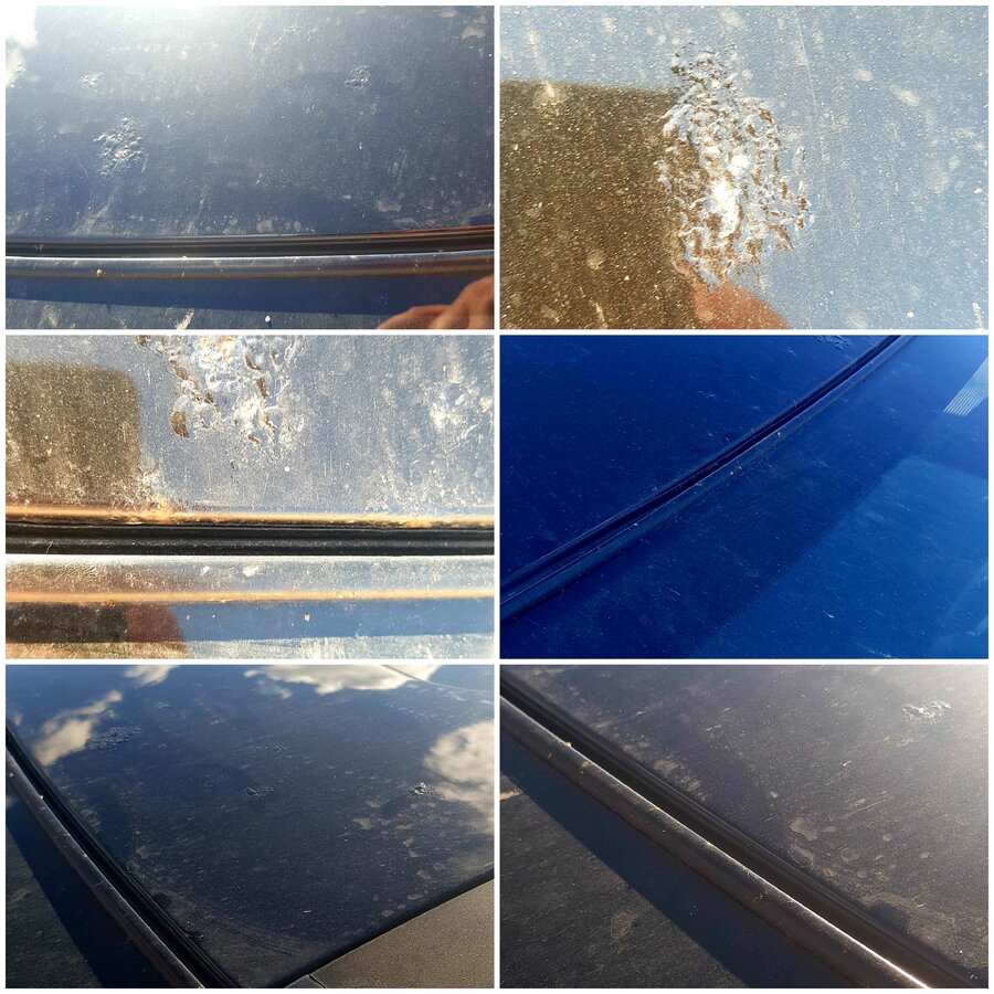 Nissan X-Trail - 3 от автора MORULE в Бортжурнале