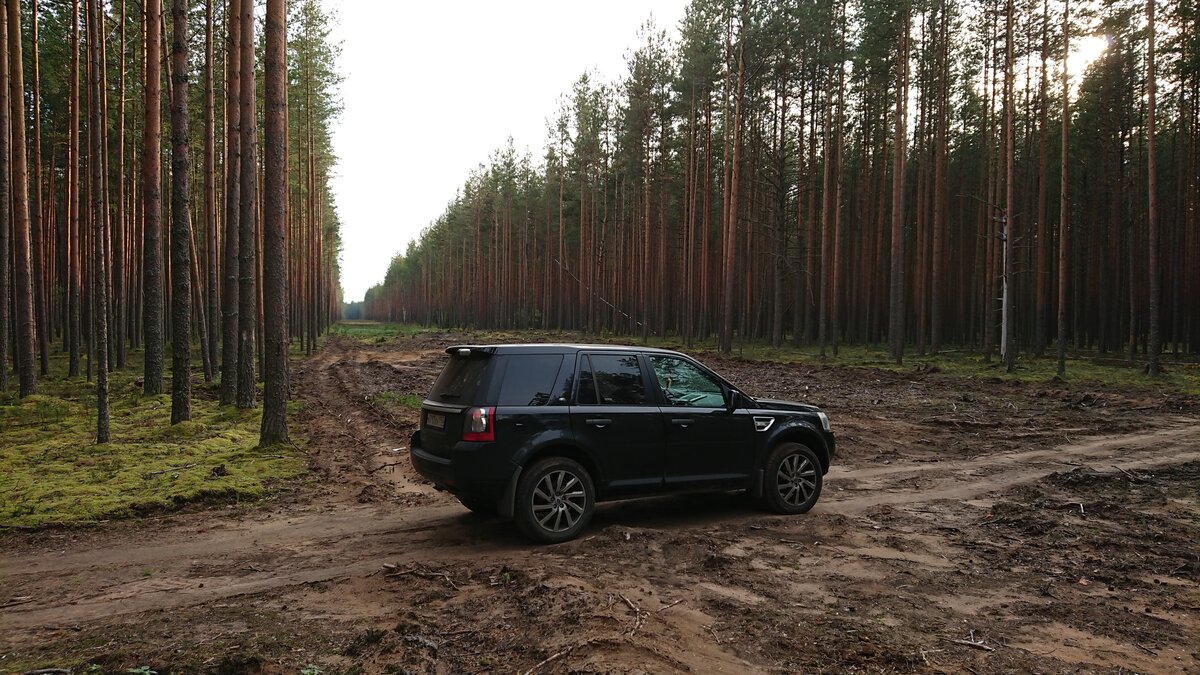 Land Rover Freelander - 1 от автора mixx3 в Бортжурнале