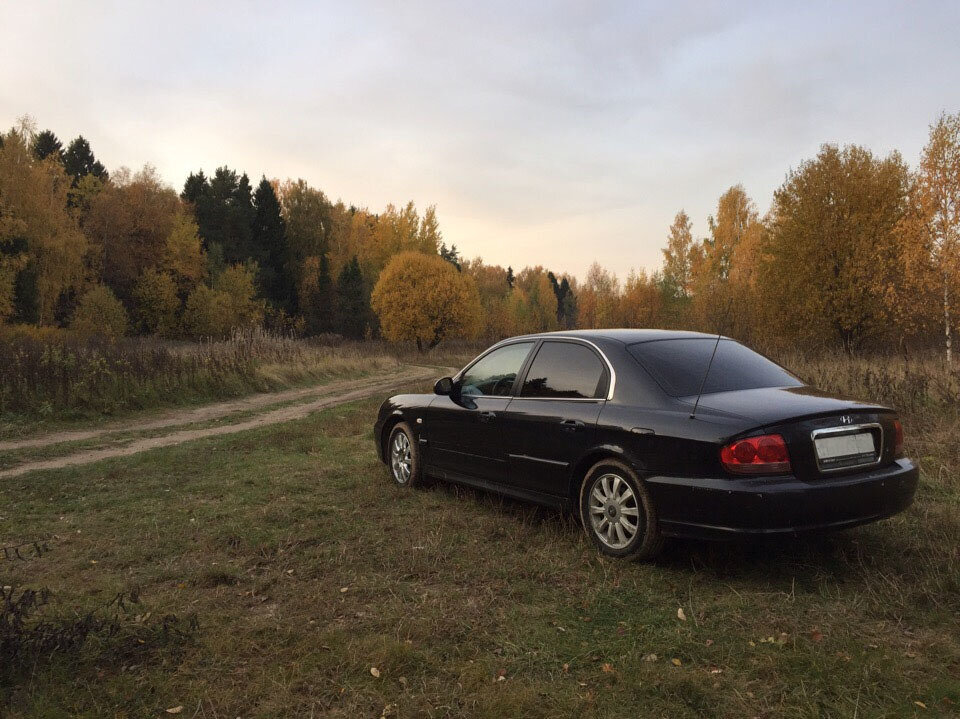 Hyundai Sonata - 1 от автора Синее купе в Бортжурнале