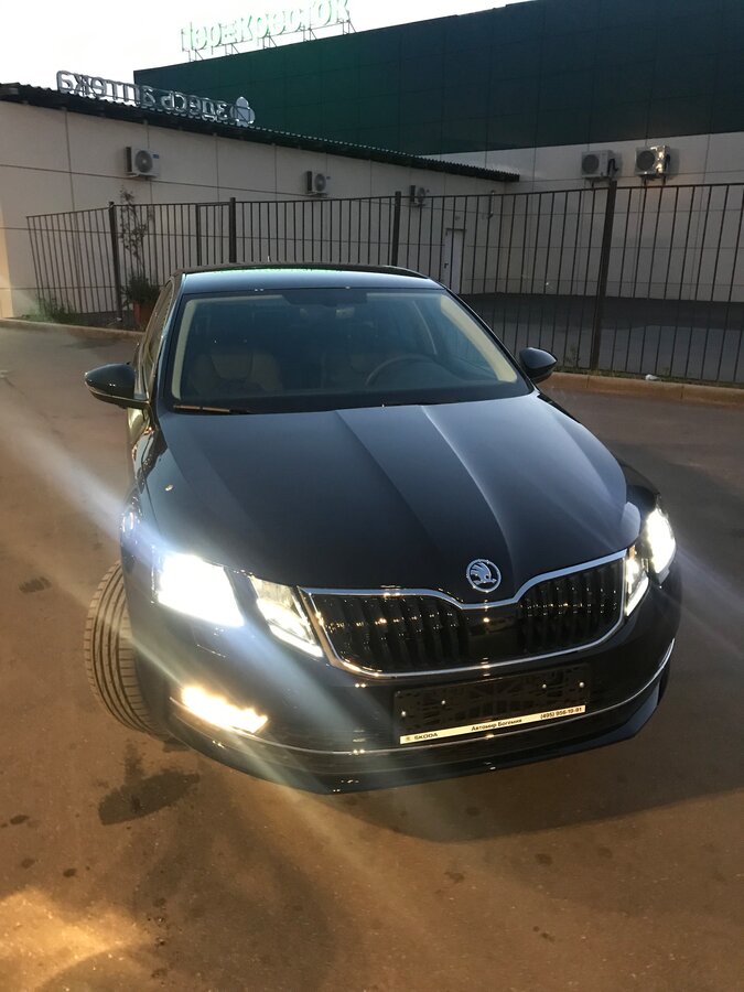 Skoda Octavia - 1 от автора Дмитрий в Бортжурнале