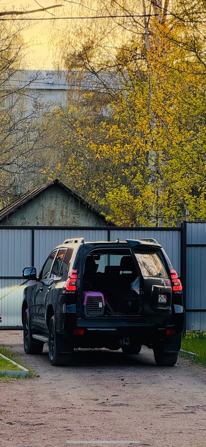 Toyota Land Cruiser Prado - 7 от автора Родион в Бортжурнале