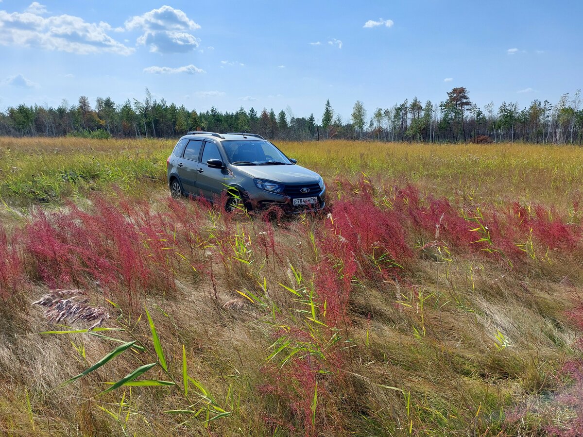 Lada (ВАЗ) Granta - 2 от автора Юрий Николаевич в Бортжурнале