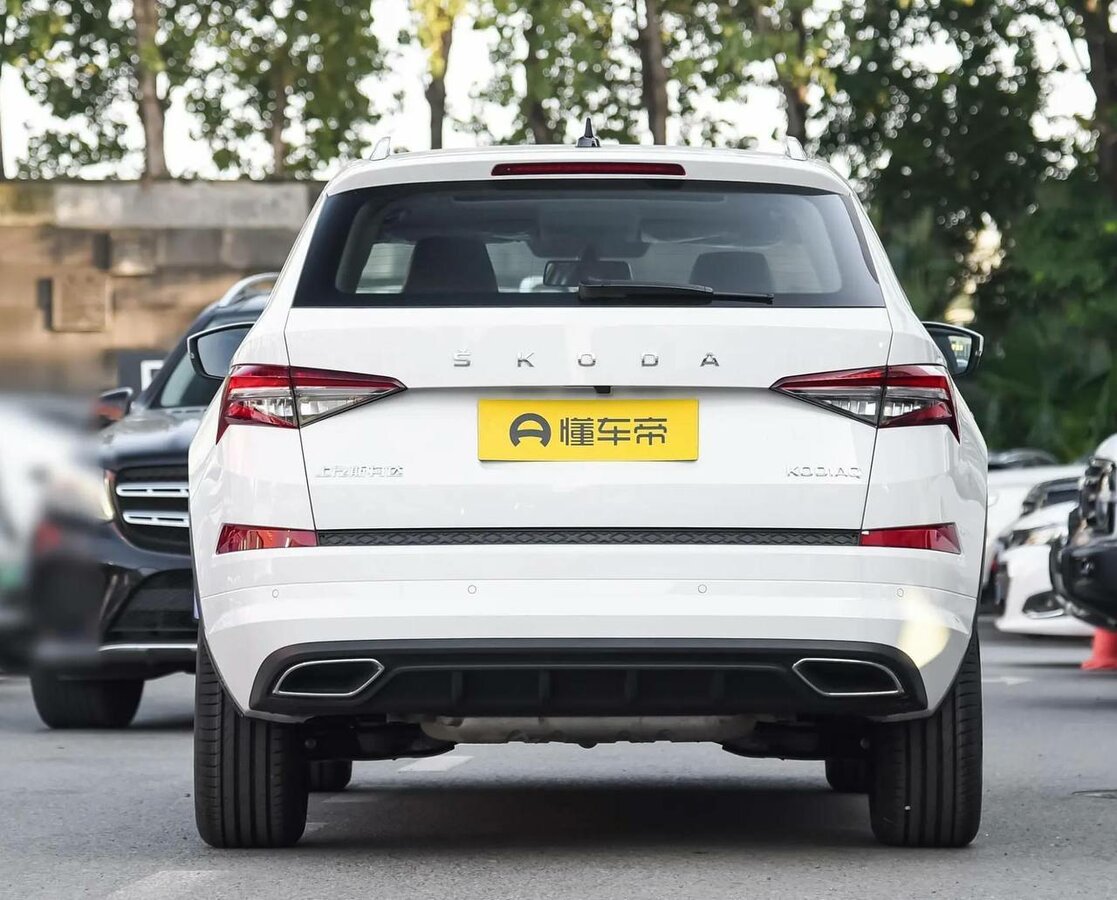 Skoda Kodiaq - 6 от автора Alex Avto в Бортжурнале