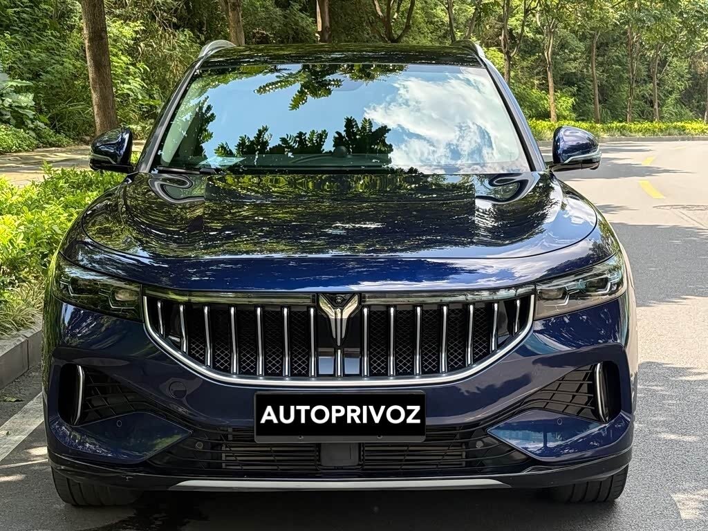 Voyah Free - 2 от автора Auto Privoz в Бортжурнале