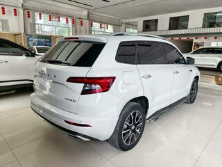 Skoda Karoq - 2 от автора AutoForward - импорт авто из Азии в Бортжурнале