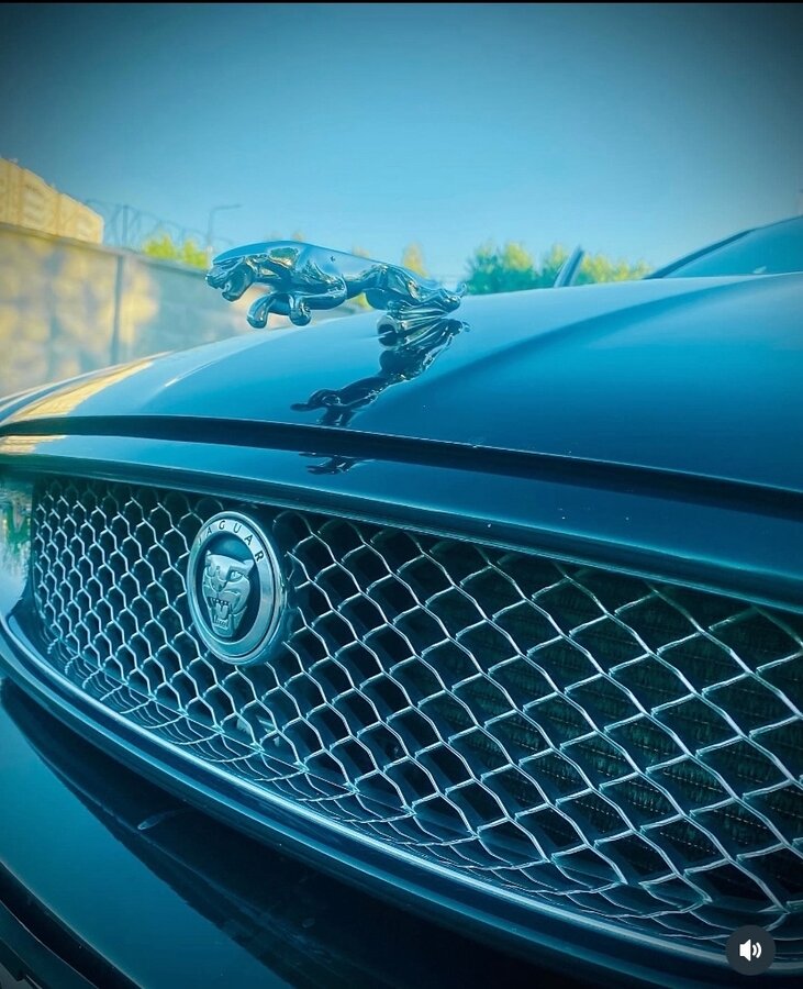 Jaguar X-Type - 1 от автора Виктория в Бортжурнале