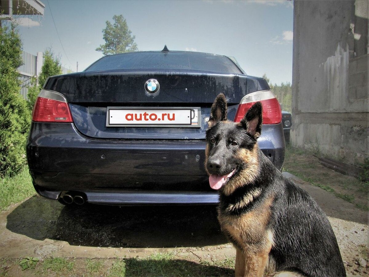 BMW 5 серии - 1 от автора Вадим в Бортжурнале