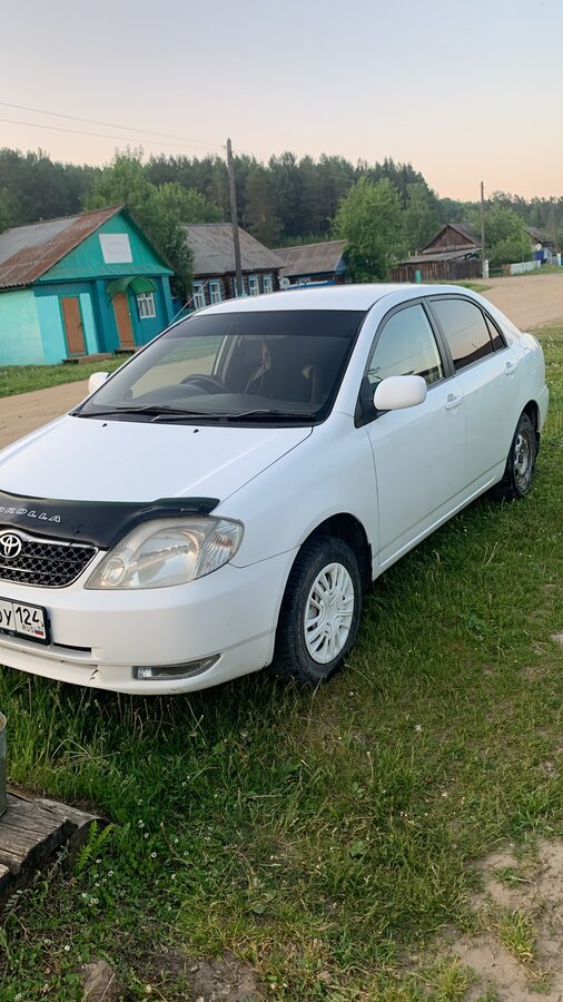 Toyota Corolla - 1 от автора Константин в Бортжурнале