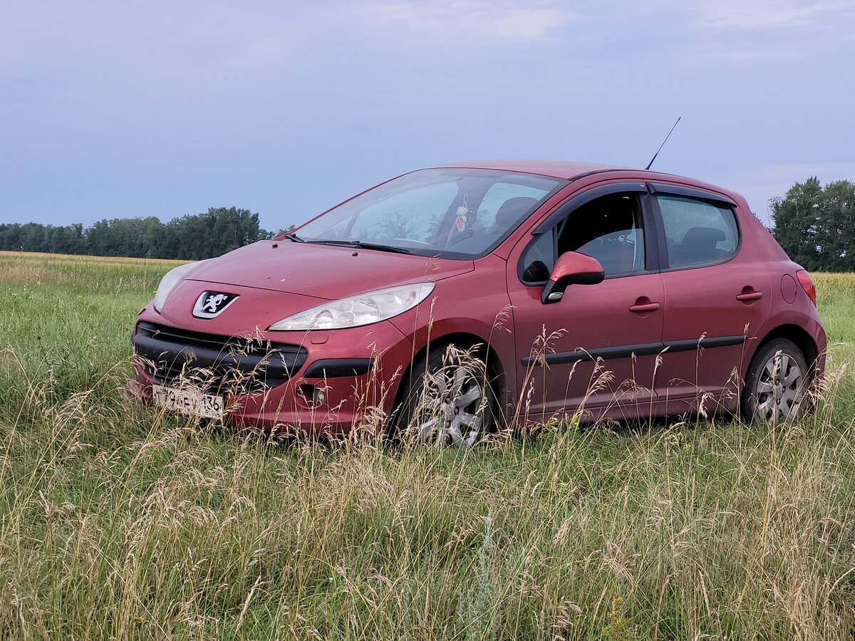 Peugeot 207 - 4 от автора Егор Гри в Бортжурнале