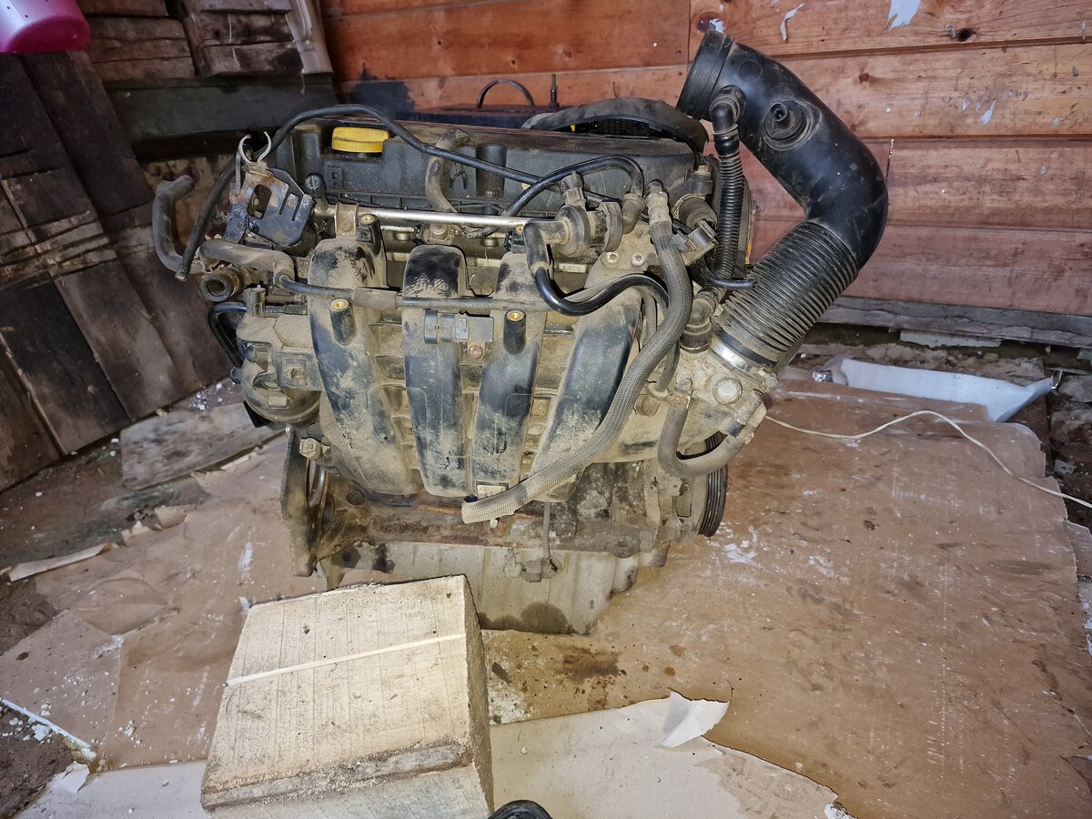 Opel Astra - 5 от автора Оксана Корнева в Бортжурнале