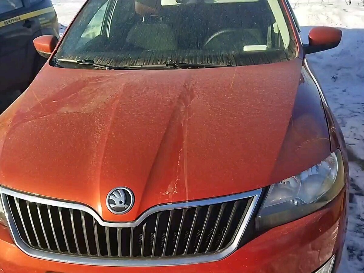 Skoda Rapid - 7 от автора Олег в Бортжурнале