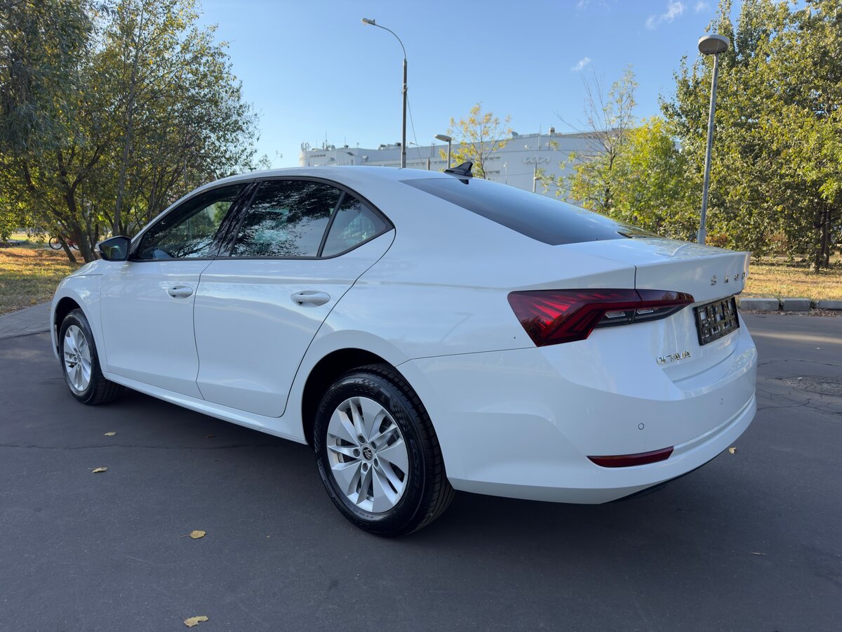 Skoda Octavia - 6 от автора Дмитрий в Бортжурнале