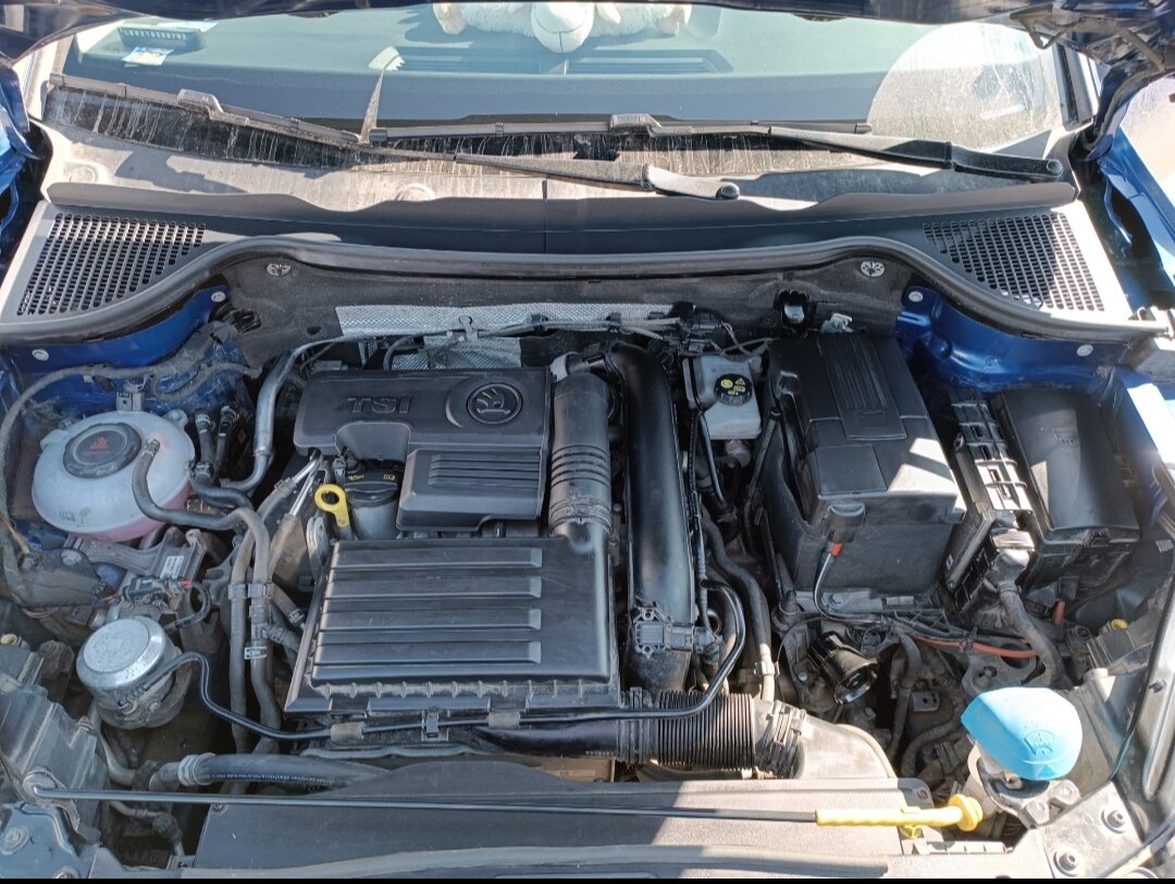Skoda Karoq - 1 от автора Антон в Бортжурнале