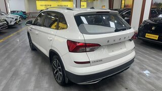 Skoda Kamiq - 5 от автора Япония Транзит в Бортжурнале