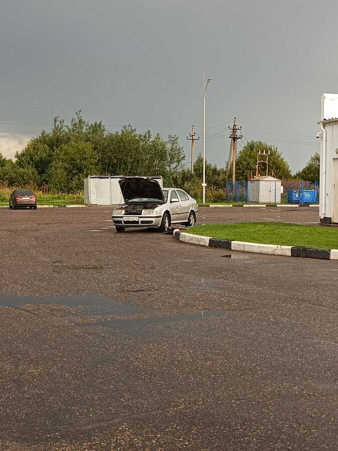 Skoda Octavia - 3 от автора Глеб в Бортжурнале
