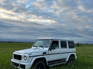 1993 Mercedes-Benz G-Класс 300 II (W463), серебристый, 1600000 рублей, вид 1