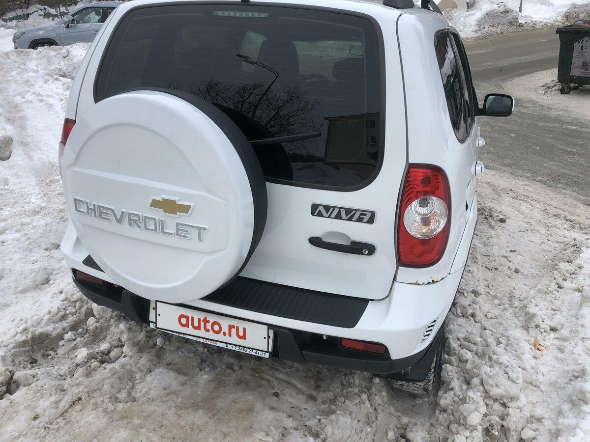 бертони нива