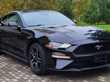  Ford Mustang    400 000  -  349     