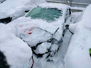 2023 Chevrolet Nexia I, белый, 477850 рублей, вид 1