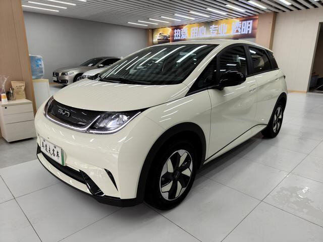 BYD Dolphin I