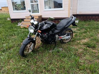 Honda CB 250F Hornet