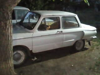 1977 ЗАЗ 968 М, белый, 1000000 рублей, вид 2