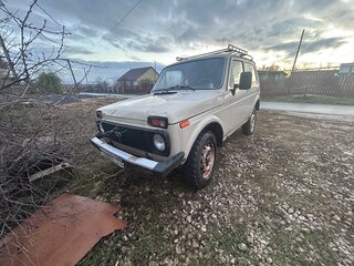 1995 Lada (ВАЗ) 2121 (4x4) I Рестайлинг, бежевый, 90000 рублей, вид 1
