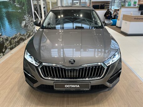 Купить новый Skoda Octavia IV (A8) 1.4 AMT (150 л.с.) бензин робот