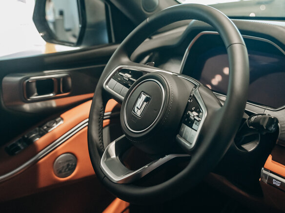 2025 Tank 700, серый, 10699000 рублей - вид 31