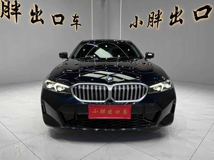 BMW 3 серии Long 320Li VII (G2x) Рестайлинг