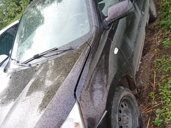 2018 Datsun on-DO I, белый, 348456 рублей - вид 7