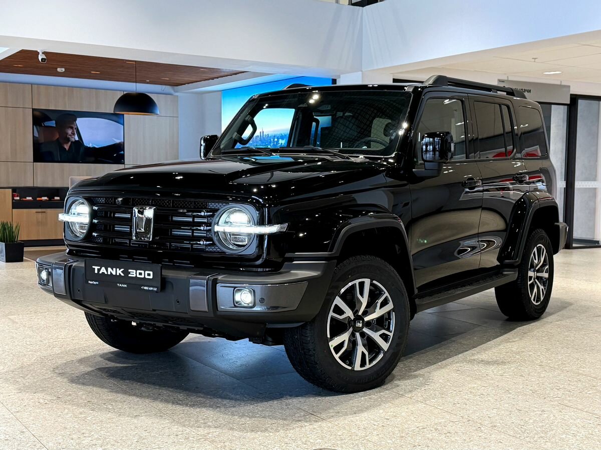 Tank 300 I